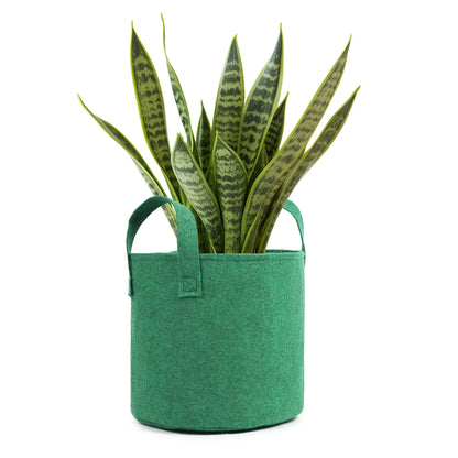 Grow bags filled with vibrant plants in a garden